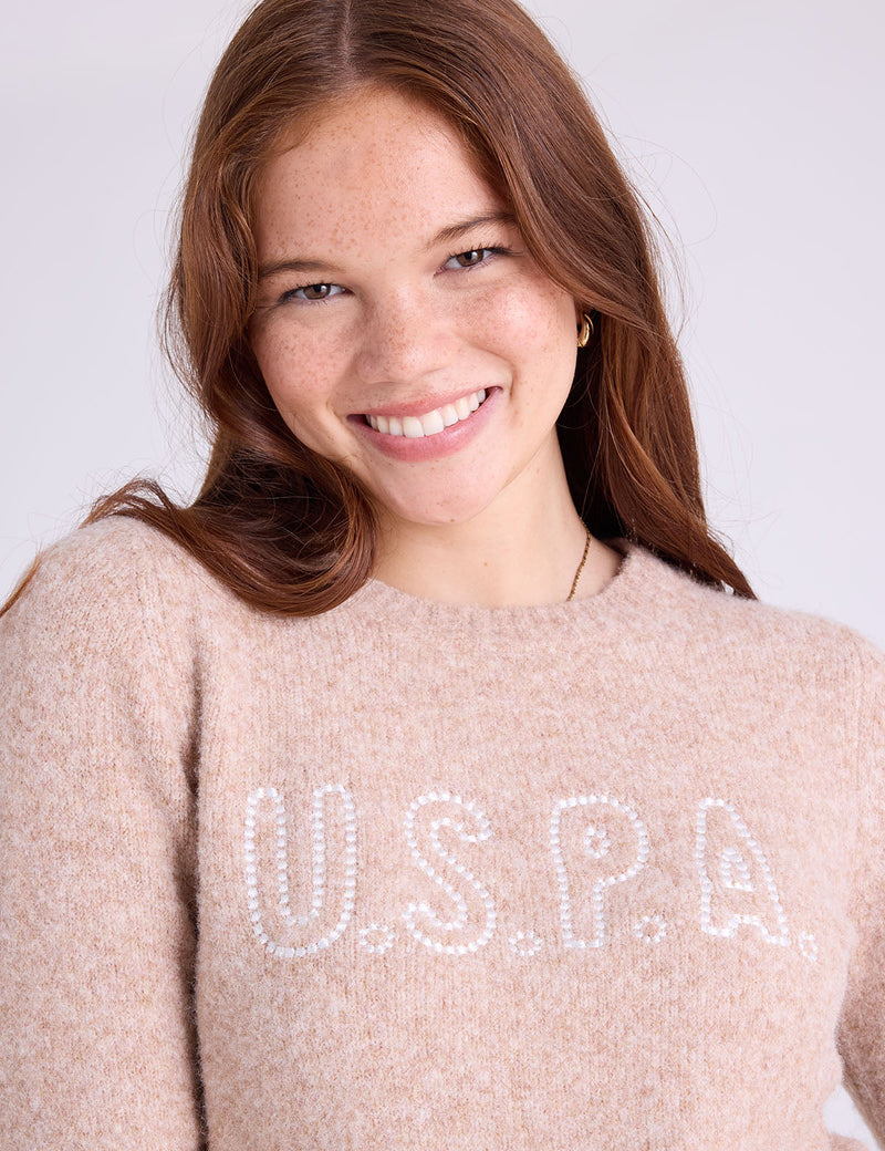 CREW NECK EMBROIDERED TIPPED SWEATER - U.S. Polo Assn.