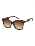 LADIES PLASTIC OVERSIZE SUNGLASSES